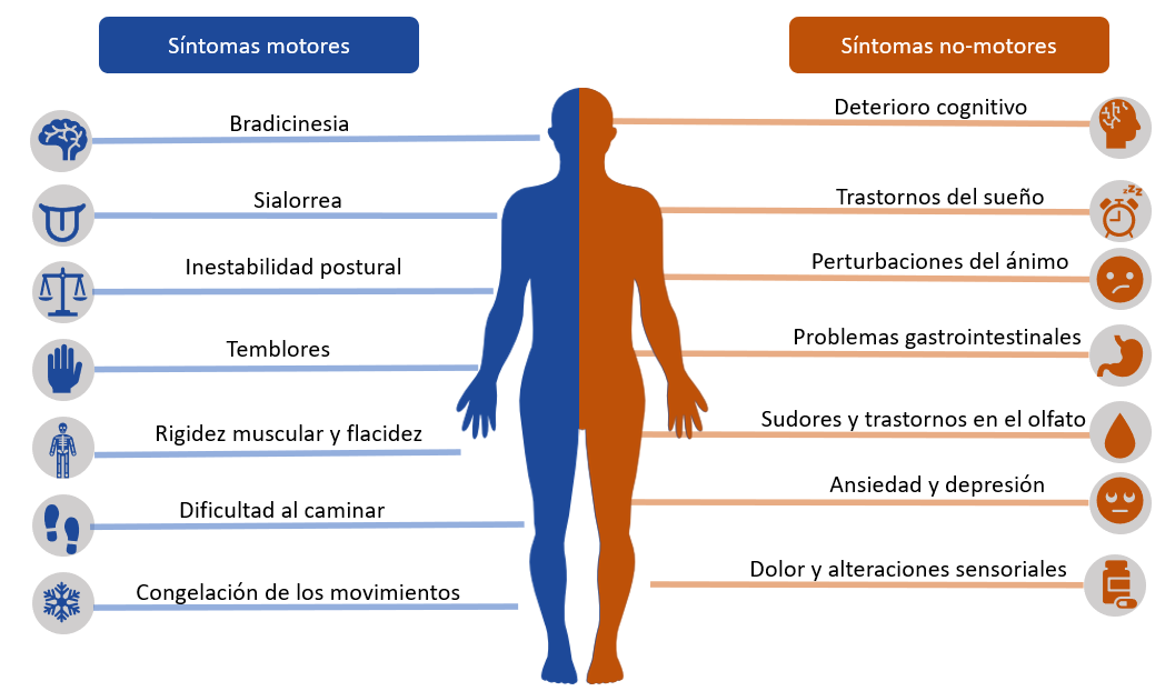 Diagrama sintomas Parkinson